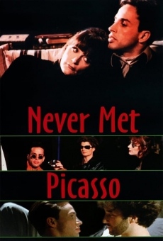 Never Met Picasso online free