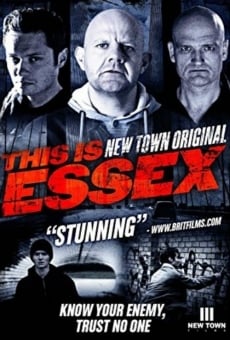 New Town Original online streaming