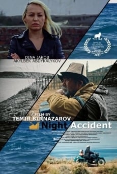 Night Accident online