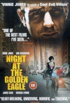 Night At The Golden Eagle streaming en ligne gratuit