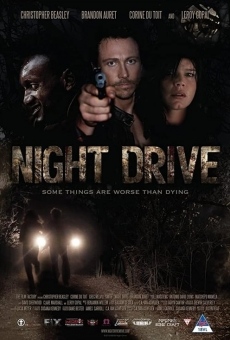 Night Drive en ligne gratuit