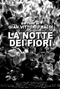 La notte dei fiori stream online deutsch