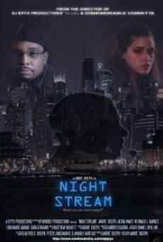 Ver película Night Stream