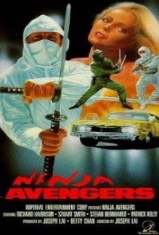Ninja Avengers streaming en ligne gratuit