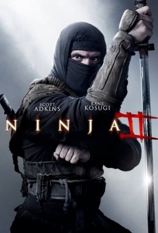 Ninja 2: Shadow of a Tear