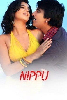 Nippu en ligne gratuit