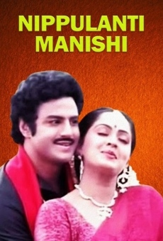 Ver película Nippulanti Manishi