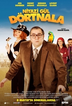 Película