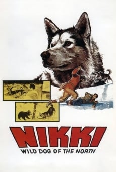 Nikki, Wild Dog of the North en ligne gratuit