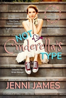 Not Cinderella's Type