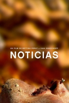 Ver película Noticias