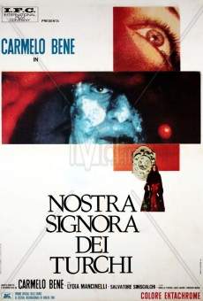 Nostra signora dei turchi