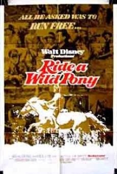 Watch Ride a Wild Pony online stream