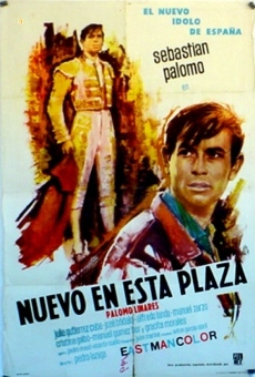 Nuevo en esta plaza stream online deutsch