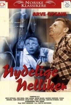 Nydelige nelliker on-line gratuito