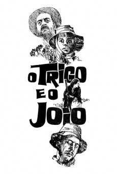 O Trigo e o Joio streaming en ligne gratuit