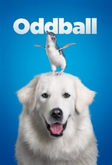 Película: Oddball