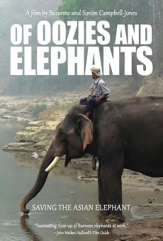 Ver película Of Oozies and Elephants