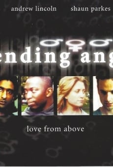 Offending Angels online streaming