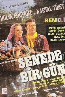 Senede Bir Gün streaming en ligne gratuit