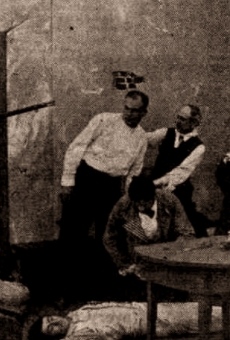 One Hundred Years of Mormonism online streaming
