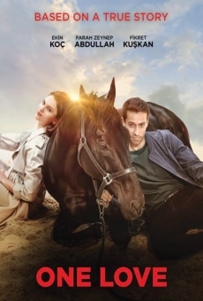 Bold Pilot - Leggenda di un campione online streaming