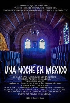 Watch One Night In Mexico online stream