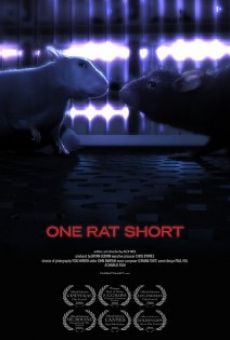 Ver película One Rat Short