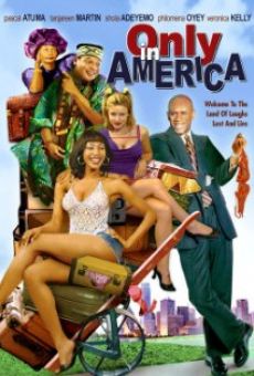 Ver película Only in America