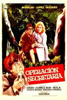 Operación Secretaria online