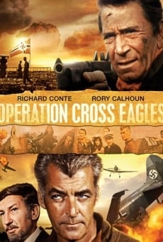 Ver película Operation Cross Eagles