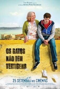 Os Gatos não Têm Vertigens stream online deutsch