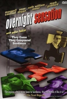 Overnight Sensation online free