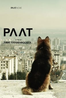 Ver película Paat