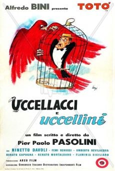 Uccellacci e uccellini online