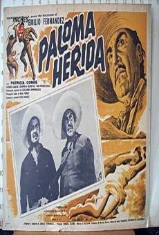 Película