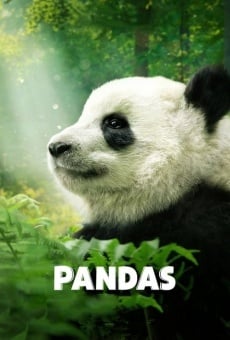 Pandas stream online deutsch