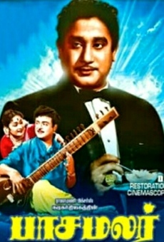 Pasamalar online streaming