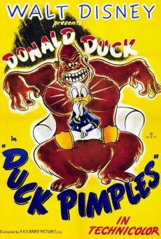 Watch Walt Disney's Donald Duck: Duck Pimples online stream