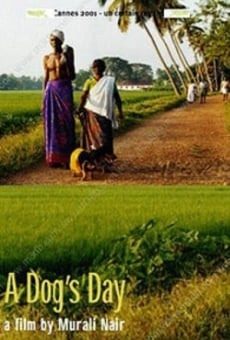 Ver película Pattiyude Divasam