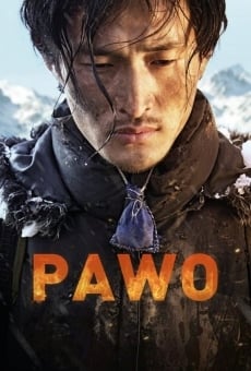 Película: Pawo