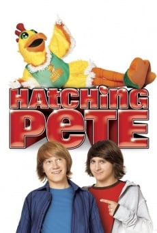 Hatching Pete online free