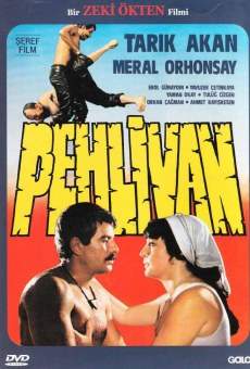 Ver película Pehlivan