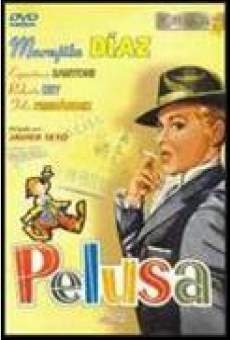 Pelusa streaming en ligne gratuit