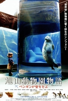 Ver película Penguins in the sky - Asahiyama zoo