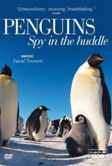 Ver película Penguins  Spy in the Huddle