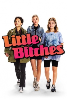 Little Bitches streaming en ligne gratuit