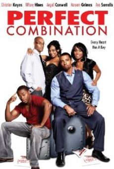 Watch Perfect Combination online stream