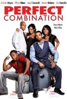 Perfect Combination online streaming