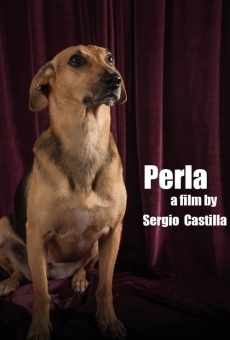 Ver película Perla